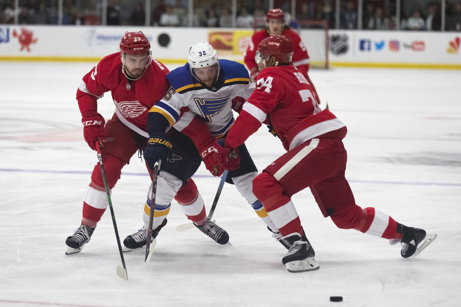 Blues Red Wings Hockey